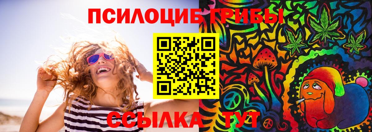Псилоцибиновые грибы прущие грибы Кушва