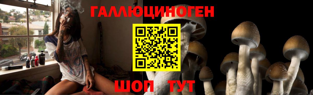 Кушва  что такое наркотик  Вход с VPN  Галлюциногенные грибы MAGIC MUSHROOMS 