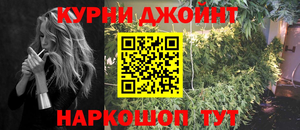 Конопля марихуана Кушва